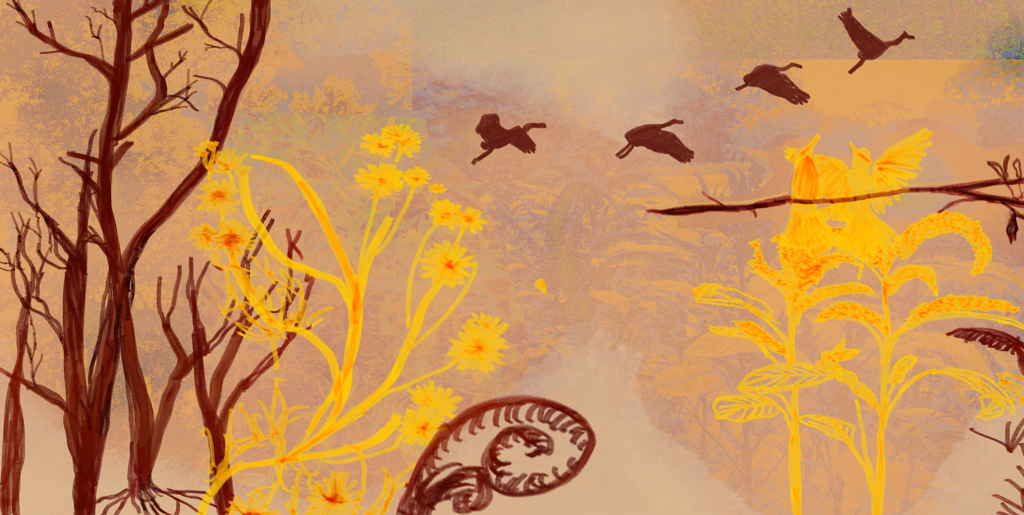 Illustration of diverse plant life in deep red and yellow line art.